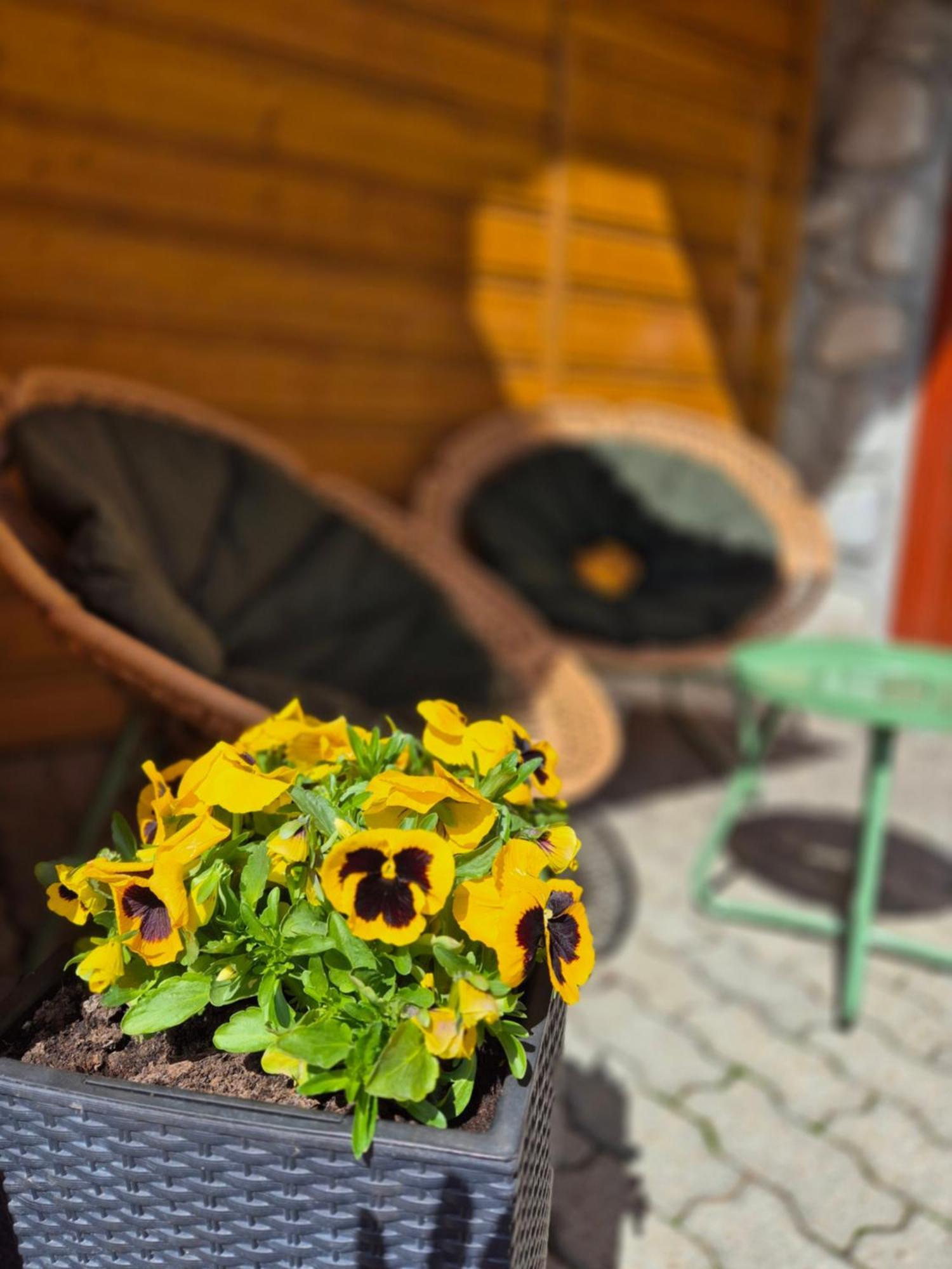 U Parow Sauna & Jacuzzi بيالكا تاترزانسكا المظهر الخارجي الصورة